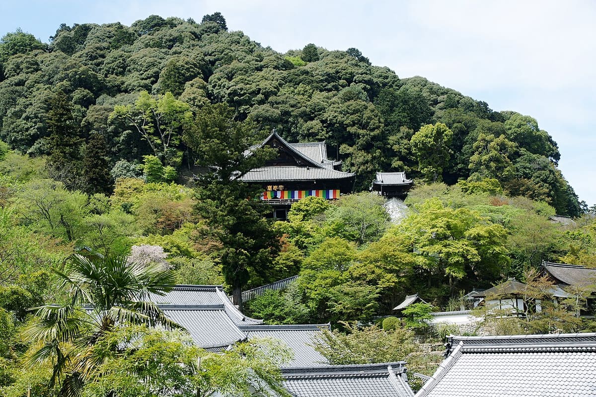 長谷寺の写真