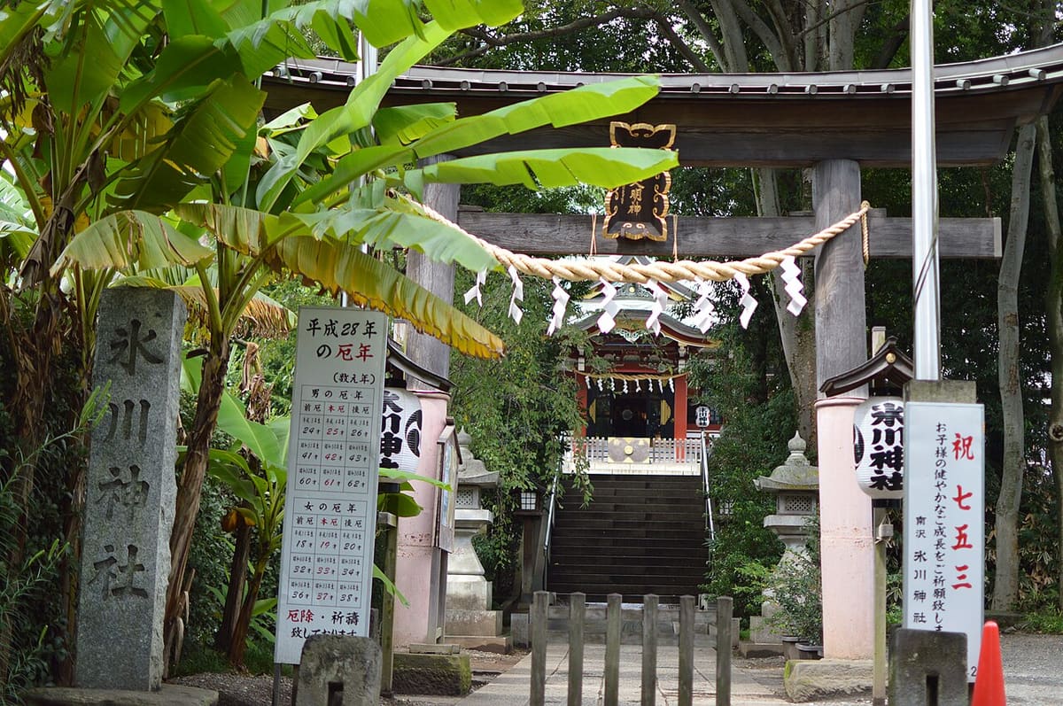 南沢氷川神社の写真