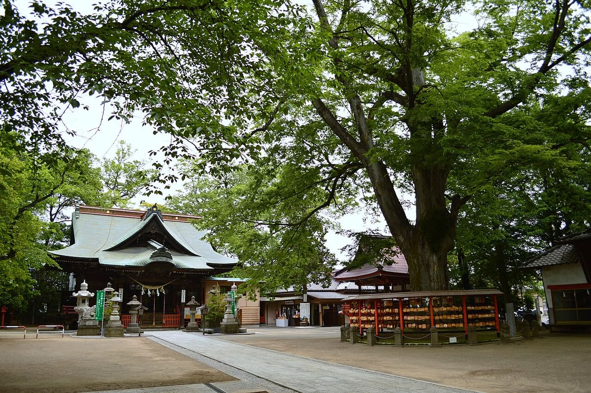 上野総社神社の写真