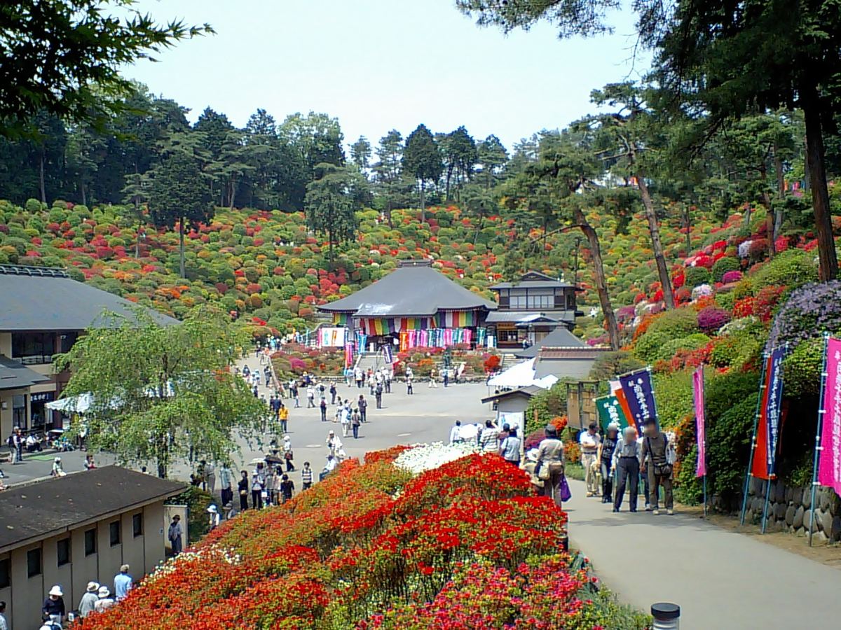 塩船観音寺の写真