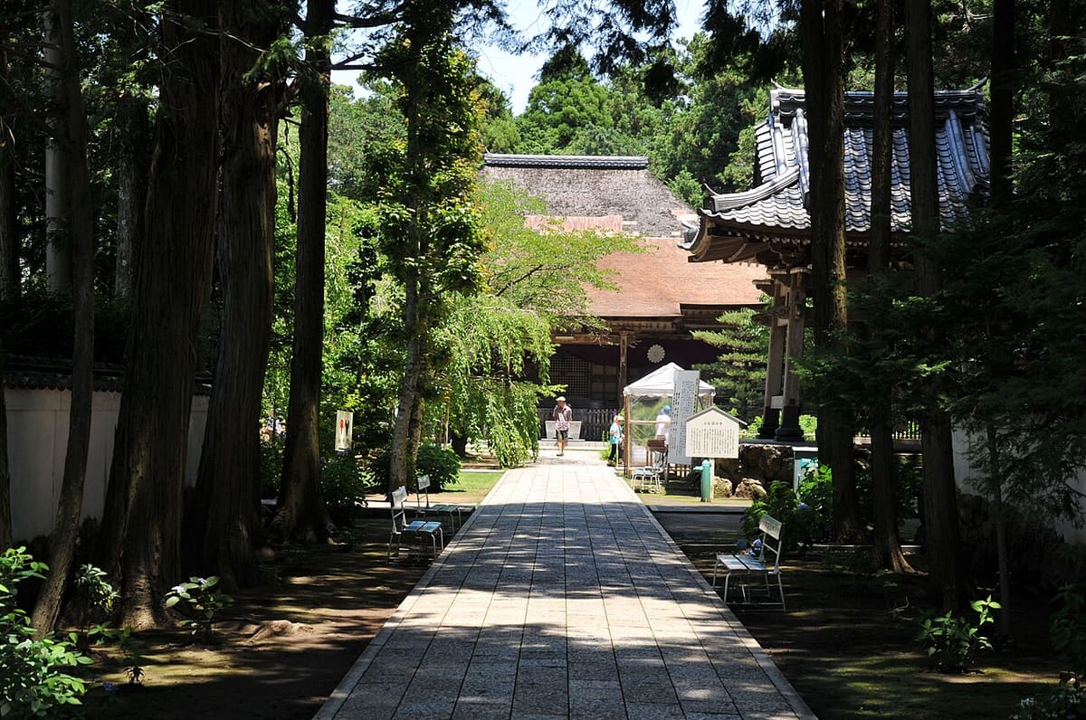國分寺の写真