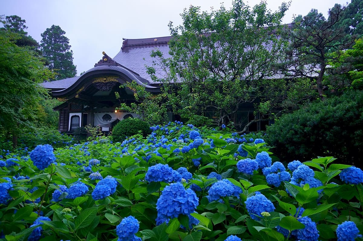 雲昌寺の写真
